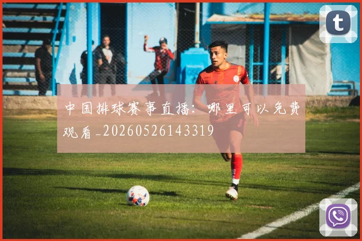 中国排球赛事直播：哪里可以免费观看_20260526143319