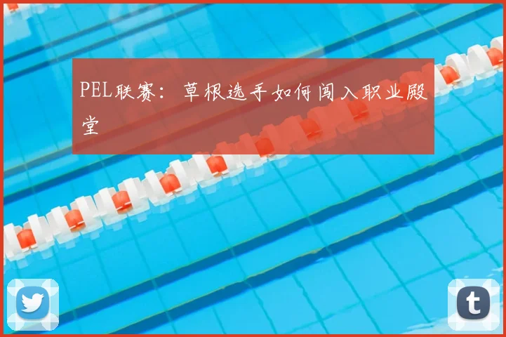 PEL联赛：草根选手如何闯入职业殿堂