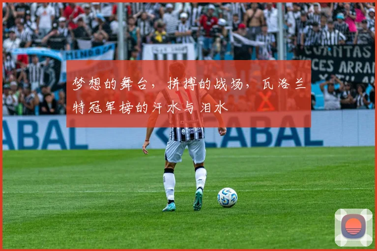 梦想的舞台，拼搏的战场，瓦洛兰特冠军榜的汗水与泪水