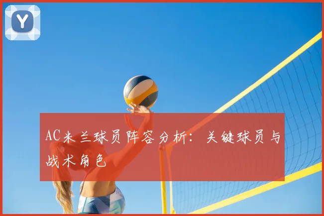 AC米兰球员阵容分析：关键球员与战术角色